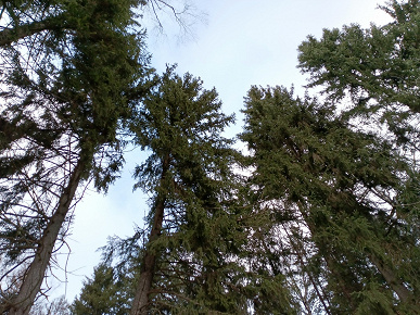 Обзор планшета Tecno Megapad 11