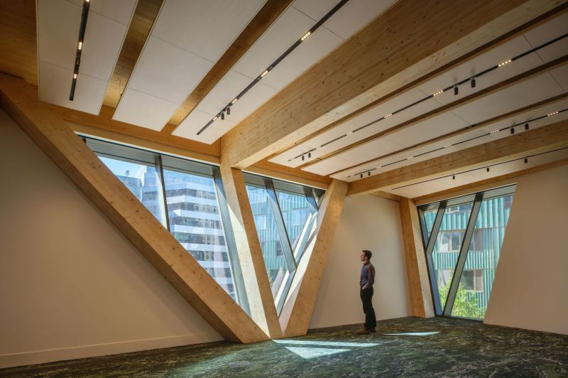 Завершён Дом на дереве Дэвида Рубенштейна в Бостоне, США