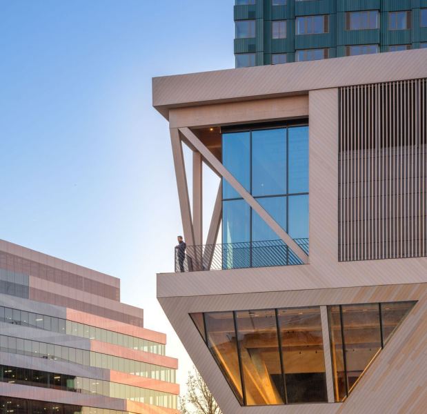 Завершён Дом на дереве Дэвида Рубенштейна в Бостоне, США