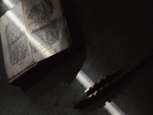 KOD.objects покажет инсталляцию ​Archetype на Alcova