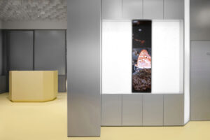 Команда .dpt создала экспозицию павильона «Пчеловодство» на ВДНХ