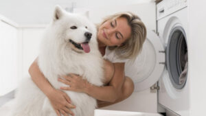 Одежда после стирки будет идеально чистой: 5 способов избавиться от шерсти и ворса