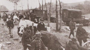 Операция «Висла» в 1947 году: причины, хронология, факты