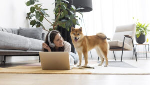 Стало известно, сколько кошек и собак разрешат держать жильцам многоэтажек