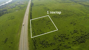Это много или мало: что такое гектар по-простому?