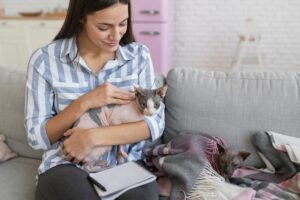 Чем вывести блох у кота в домашних