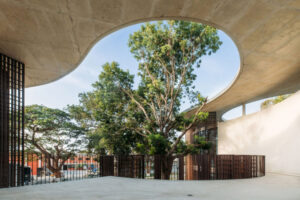 Студия Typsa Arquitectura построила библиотеку вокруг существующих деревьев